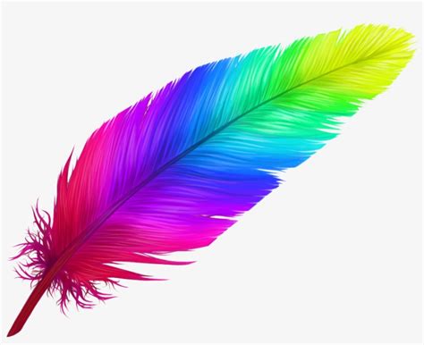 Wild Rainbow Feathers Novibet