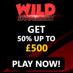 Wildspinner Casino App