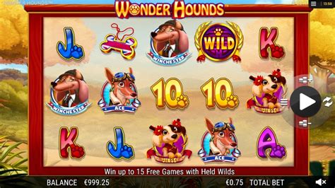 Wonderhounds Bet365